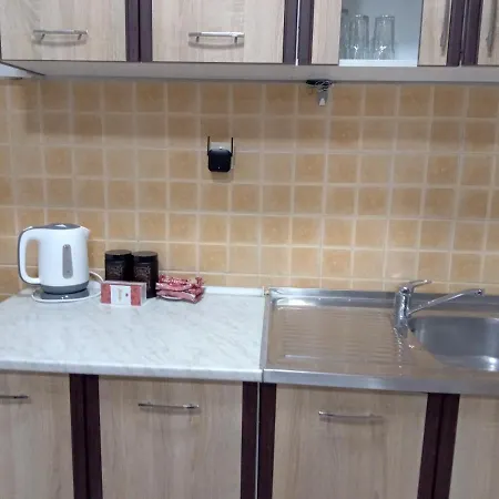 Apartment Nika